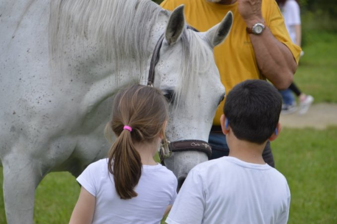 Oasi degli Amici Animali